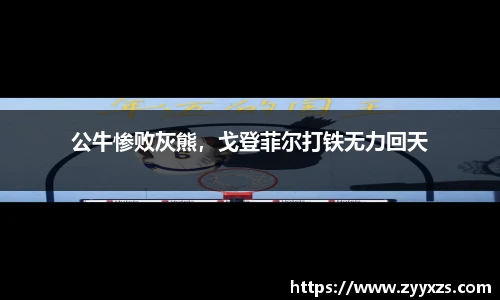 公牛惨败灰熊，戈登菲尔打铁无力回天